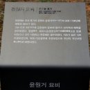 윤원거 묘비 이미지