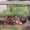 지구농장 이미지