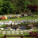 명상(주간) 이미지