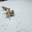 올림푸스원 이미지