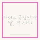 자취로 독립한 첫 달, 꼭 사야 할 생필품 리스트 자취생필품 쇼핑리스트