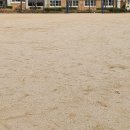 다빛초등학교 이미지