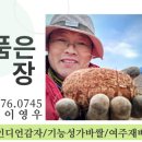 이영우농장 이미지