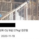 새한주유소 이미지