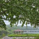 낙동강변로7-8 | 안동가볼만한곳 낙동물길공원 애견동반 조용한 산책코스 추천