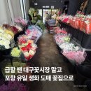포항꽃생화 | 포항 상도동 꽃집 나인플레르 | 포항꽃도매 꽃종류, 직접 셀프 꽃다발만들기, 내돈내산 후기