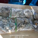 부경호 이미지