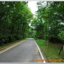 대야산자연휴양림 이미지