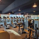 바디토탈휘트니스 이미지