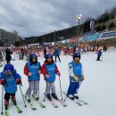 용인대 정심태권도 이미지