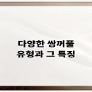 비티성형외과의원 이미지