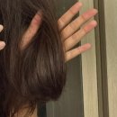 피노야 피노야 누구 머릿결이 비단같니? - 피노 프리미엄 터치 헤어마스크 사용 후기