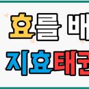 지효태권도장 이미지