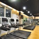 요가교실 야간반 이미지