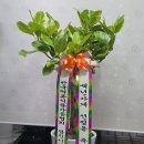 당진민속떡집 이미지