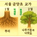 금양초등학교 이미지