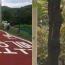 노인보호구역 파이낸셜뉴스
