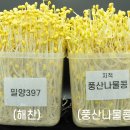 농촌진흥청 국립식량과학원 이미지