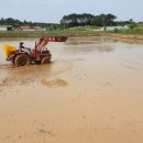 조비농장 이미지