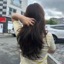 U HAIR(유헤어)