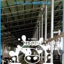 이정목장 이미지