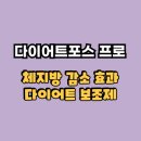 한국진돗개안전 씨엔에스(주) | 다이어트포스프로(Pro) 체지방 감소 효과로 라인유지에 도움될까?