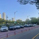 마마 소피아 이미지