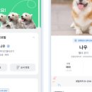 펫나우 이미지