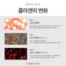 대전더마스터의원 이미지