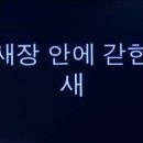 금상첨화 이미지