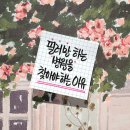 뉴페이스의원 이미지