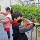 산외초등학교 이미지