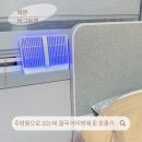 트랩 | 여름준비용 가정용모기퇴치기 포충기 초파리트랩 헤몬 버그트랩 후기