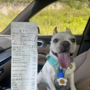 호박동물병원 이미지