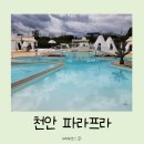 두돌 아이와 천안 파라프라 이용후기(예약방법, 자리팁)
