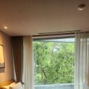 펜트하우스B 이미지