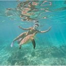 제이든29-1호스텔 | 인도네시아 길리 여행 후기(2023-07)