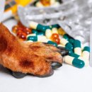 (주)우리메디텍 이미지