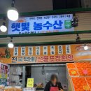 농수산시장 | [제주] 서귀포 매일 올레시장 <햇빛농수산> 황금향 한라봉 맛집 택배후기