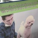 영인과학(주) | 뭔가 항상 부리부리하는데 늘 심심한 여성의 삶.