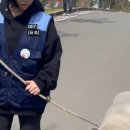 프로덕션채널