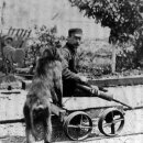 개코맥주 이미지