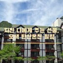 후포 알칼리온천 찜질방 | 양양 가볼만한곳] 온몸이 나른해지는 오색 탄산온천 힐링 솔직 후기