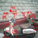 비너스 PC방 이미지