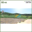 태양광발전소 부지조성 이미지