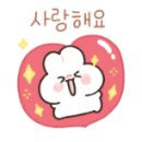 호텔패션 이미지