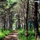 봉좌농장 이미지