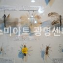 상상아트센터미술학원