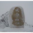 1월15일 토요당일 함백산 눈꽃 주목 왕초보가능한 산행 안내-신청하기 이미지