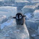 미소안과의원 이미지